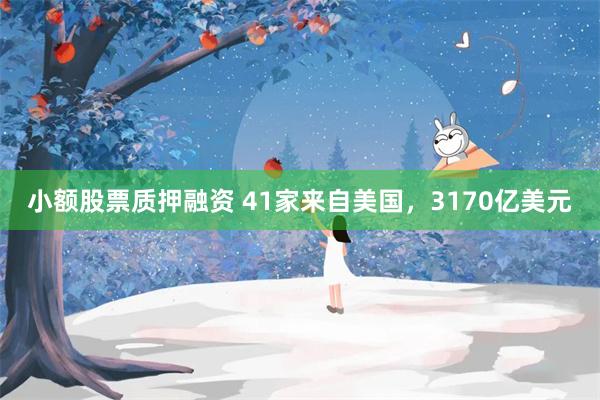 小额股票质押融资 41家来自美国，3170亿美元