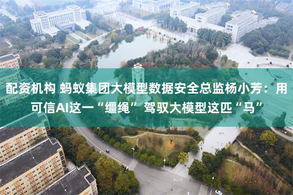 配资机构 蚂蚁集团大模型数据安全总监杨小芳：用可信AI这一“缰绳” 驾驭大模型这匹“马”