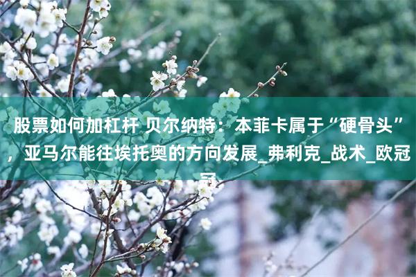 股票如何加杠杆 贝尔纳特：本菲卡属于“硬骨头”，亚马尔能往埃托奥的方向发展_弗利克_战术_欧冠