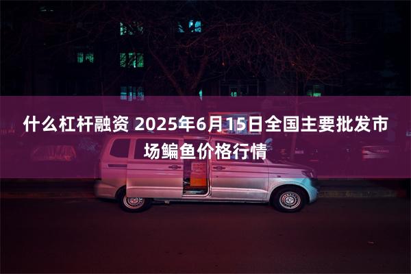 什么杠杆融资 2025年6月15日全国主要批发市场鳊鱼价格行情